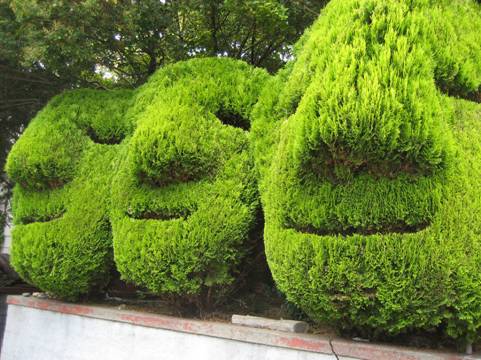 \