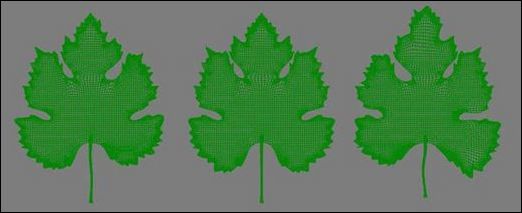3ds Max教程:制作饱满多汁葡萄