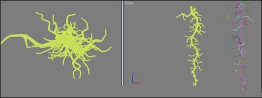 3ds Max教程:制作饱满多汁葡萄