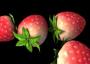 3D MAX：水果制作之草莓篇