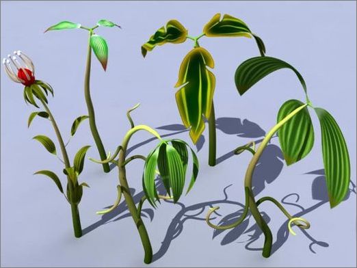 3ds Max教程:制作卡通风格菜园