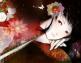 治愈系插画风 日本Arcadia绘师插画欣赏