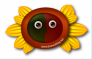 用Illustrator绘制太阳花