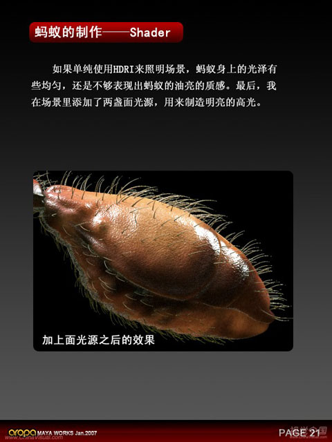 3D静帧《蚂蚁》制作剖析