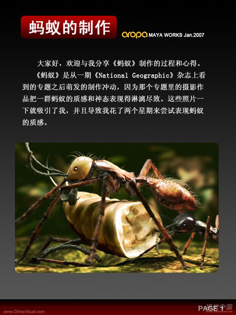 3D静帧《蚂蚁》制作剖析