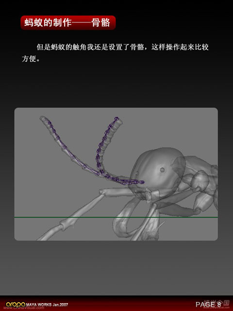 3D静帧《蚂蚁》制作剖析
