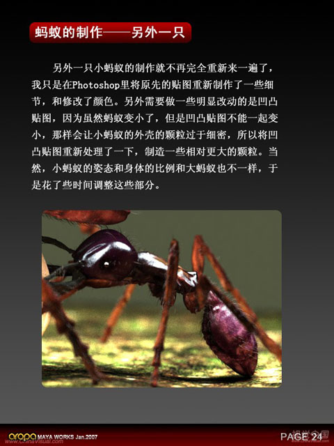 昆虫质感—3D静帧《蚂蚁》制作剖析