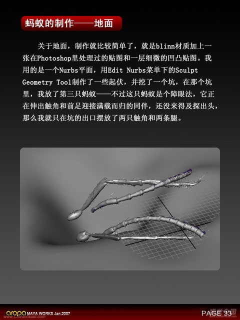 昆虫质感—3D静帧《蚂蚁》制作剖析