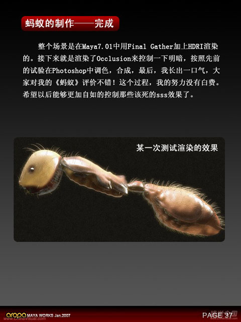 昆虫质感—3D静帧《蚂蚁》制作剖析
