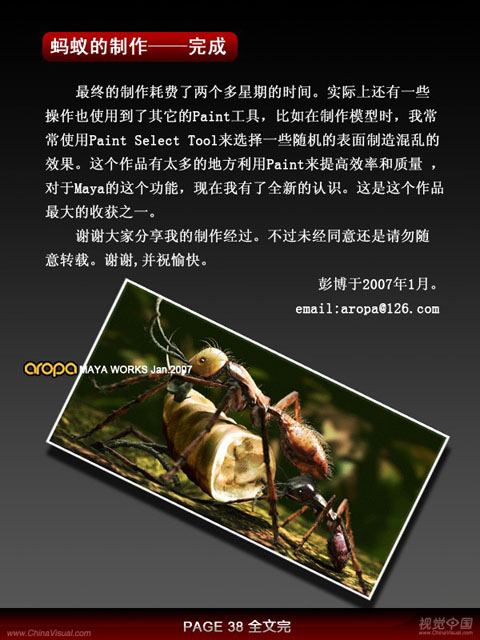 昆虫质感—3D静帧《蚂蚁》制作剖析