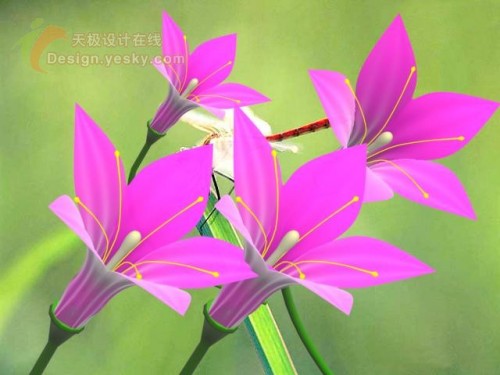 点击放大此图片