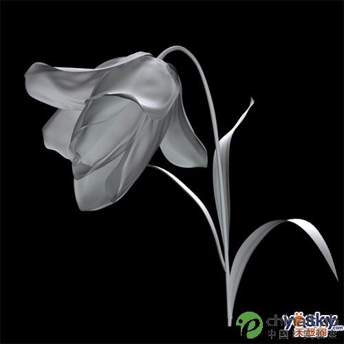 Maya简单建模郁金香花朵_天极设计在线整理