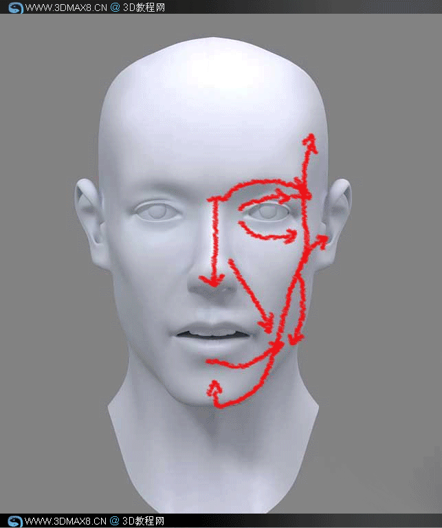 3DMAX人头建模教程 - 3dmax8.ＣＮ