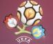 含苞欲放的花-2012年欧洲杯官方标志