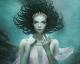 神奇美丽的插画-Tom Bagshaw