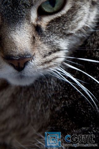 \