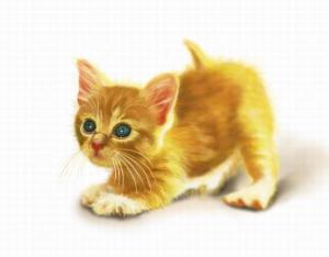 Photoshop鼠绘可爱小猫