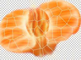 \