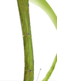 \