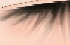 \