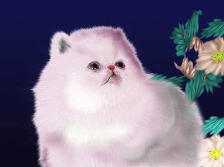 \