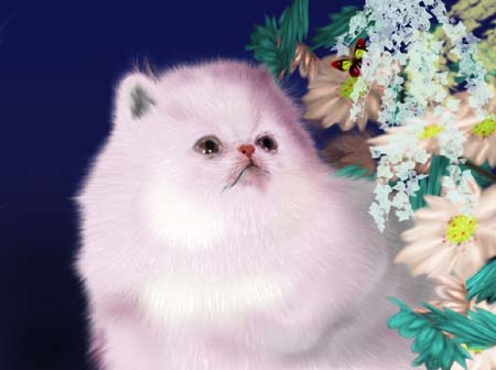 \