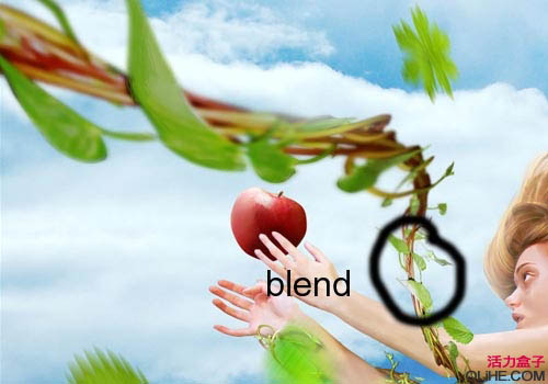 \