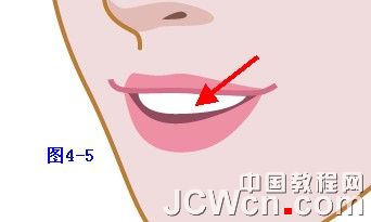 Illustrator鼠绘教程：插画人物系列之清纯美女的绘制_中国教程网