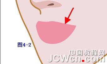 Illustrator鼠绘教程：插画人物系列之清纯美女的绘制_中国教程网
