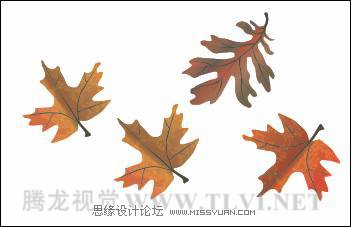 使用CorelDRAW中的艺术笔工具,PS教程,思缘教程网
