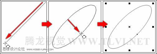 使用CorelDRAW绘制椭圆和圆形,PS教程,思缘教程网