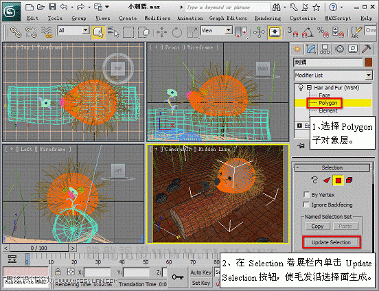 3D Max使用Hair and Fur修改器设置毛发效果,PS教程,思缘教程网
