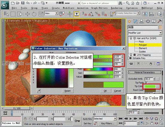 3D Max使用Hair and Fur修改器设置毛发效果,PS教程,思缘教程网