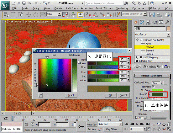3D Max使用Hair and Fur修改器设置毛发效果,PS教程,思缘教程网
