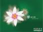 Illustrator绘制有意境的花朵教程