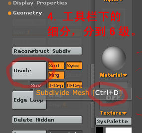\