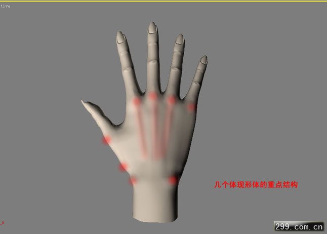 MAX建模实例制作人的双手教程.jpg
