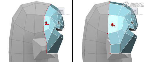 3ds max