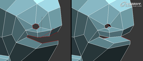 3ds max
