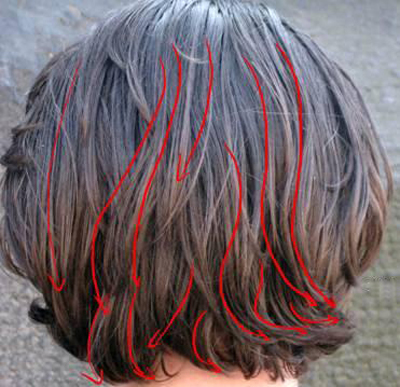 /uploadfile/2010/1012/20101012111720192.jpg