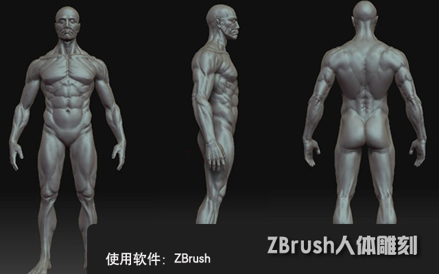 ZBrush实例教程：使用ZBrus打造人体雕刻步骤详细解析
