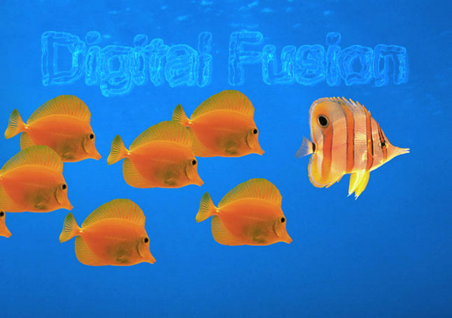 Digital Fusion实例教程：聚水成文
