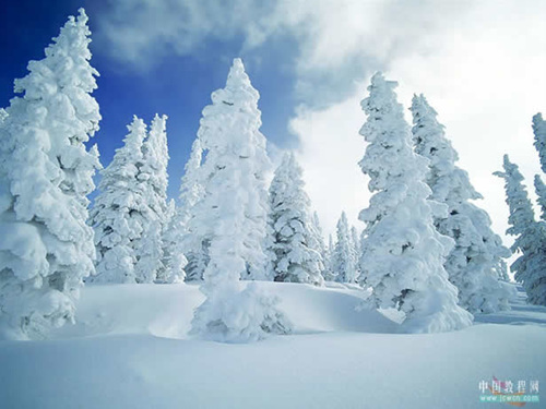 Flash入门实例:打造简单的飘雪动画视觉特效