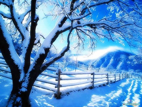 Flash入门实例：打造简单的飘雪动画视觉特效
