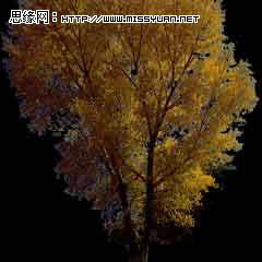 3DMAX教程：树的制作