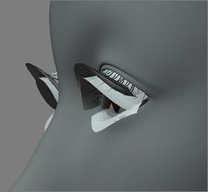 3Dsmax PS制作《功夫世界》海报