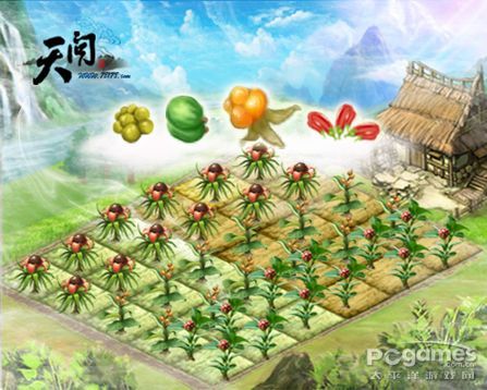 图一世外桃源仙草苑休闲种仙草副本