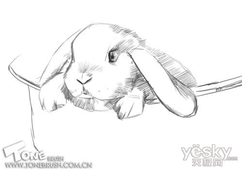 Photoshop手绘可爱的小兔子插画