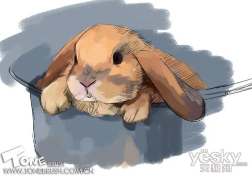Photoshop手绘可爱的小兔子插画