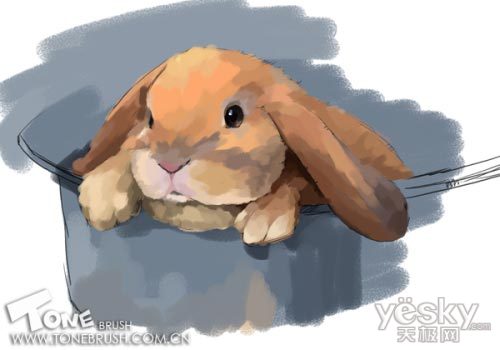 Photoshop手绘可爱的小兔子插画